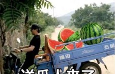 最近大瓜事件,揭秘明星隐私风波背后的真相