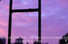 留恋视频成人版,探索激情与情感的交织之旅